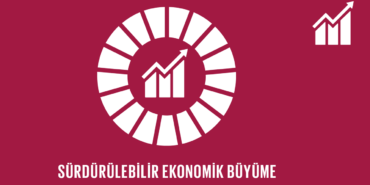 Sürdürülebilir Büyüme